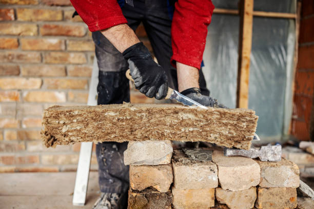 Best Wall Insulation Contractor  in Miami Lakes, FL
